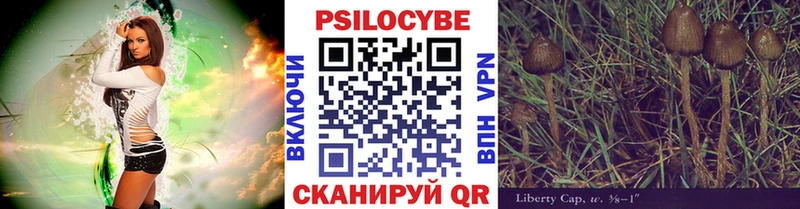 Псилоцибиновые грибы мицелий  Никольское 